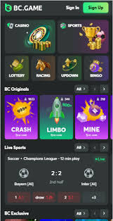 Exploring the Innovative BC.Game Platform A New Era in Online Gaming